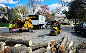 Seasonal Cleanup (Spring/Fall) in Cresson, PA